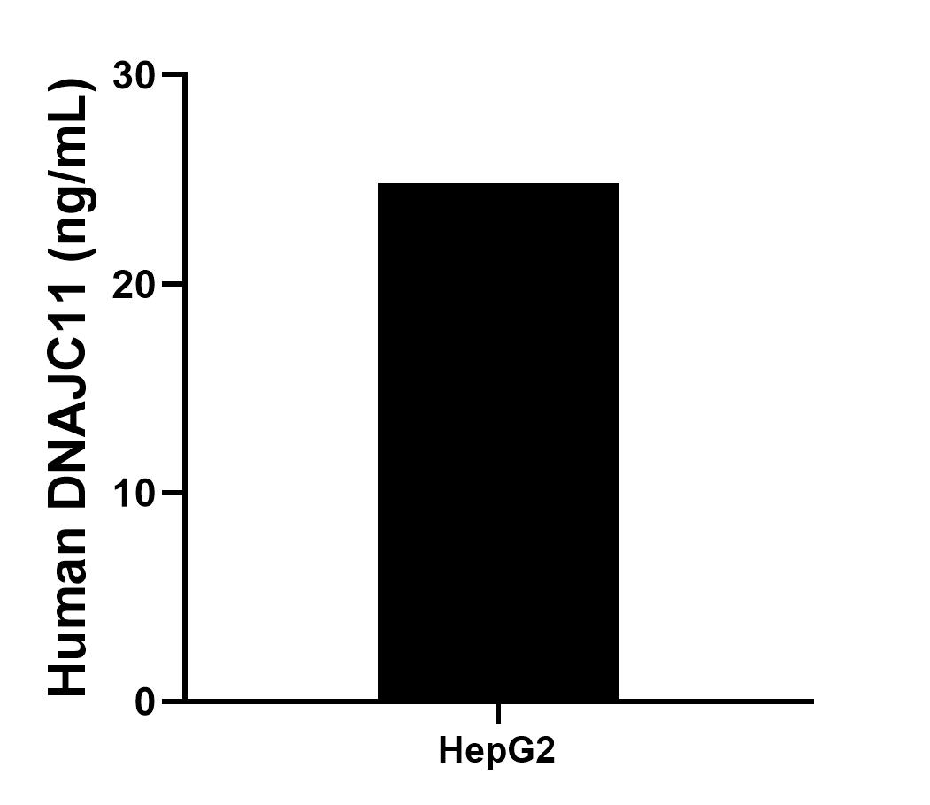 HepG2 cell lysate was measured. The human DNAJC11 concentration of detected samples was determined to be 24.80 ng/mL (based on a 1.30 mg/mL extract load).